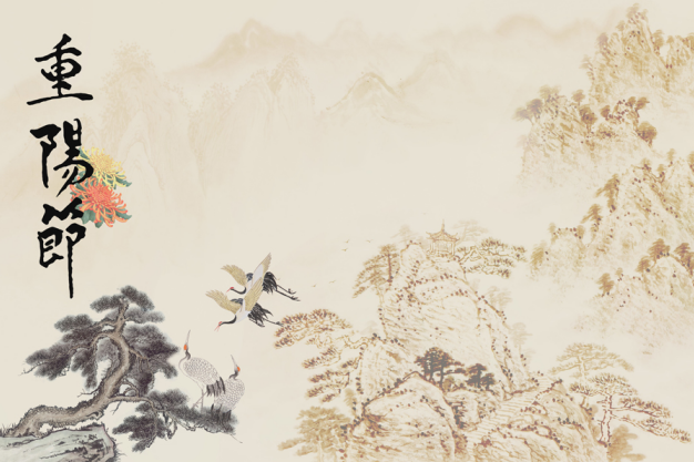 مهرجان مزدوج التاسع