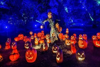 الهالوين 2022