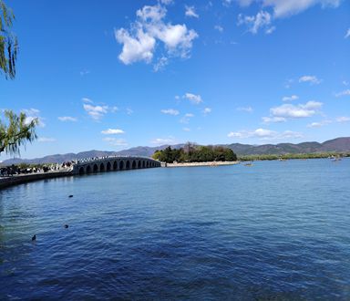 2026 سفريات شركتنا 