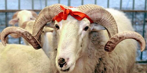 مهرجان غوربان