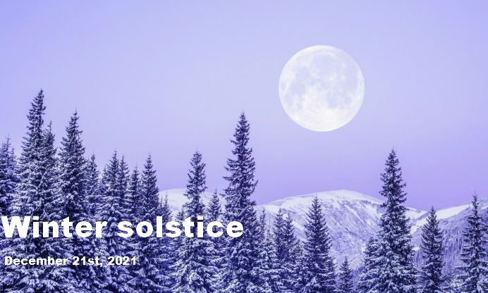 الانقلاب الشتوي